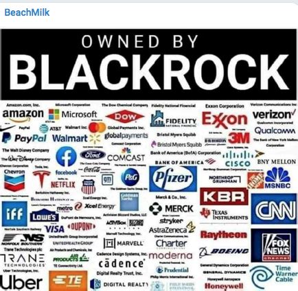 holdings chanel|stocks owned by blackrock.